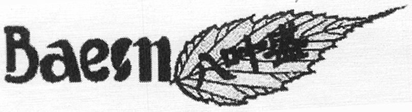 Baesn